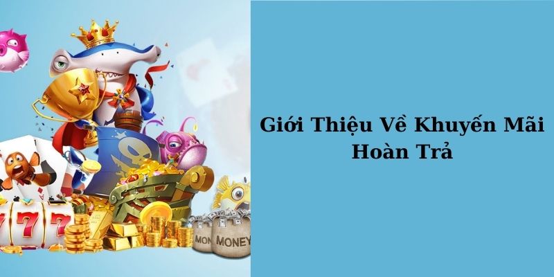 Điều khoản áp dụng cho ưu đãi hoàn trả 5% tiền nạp NOHU90